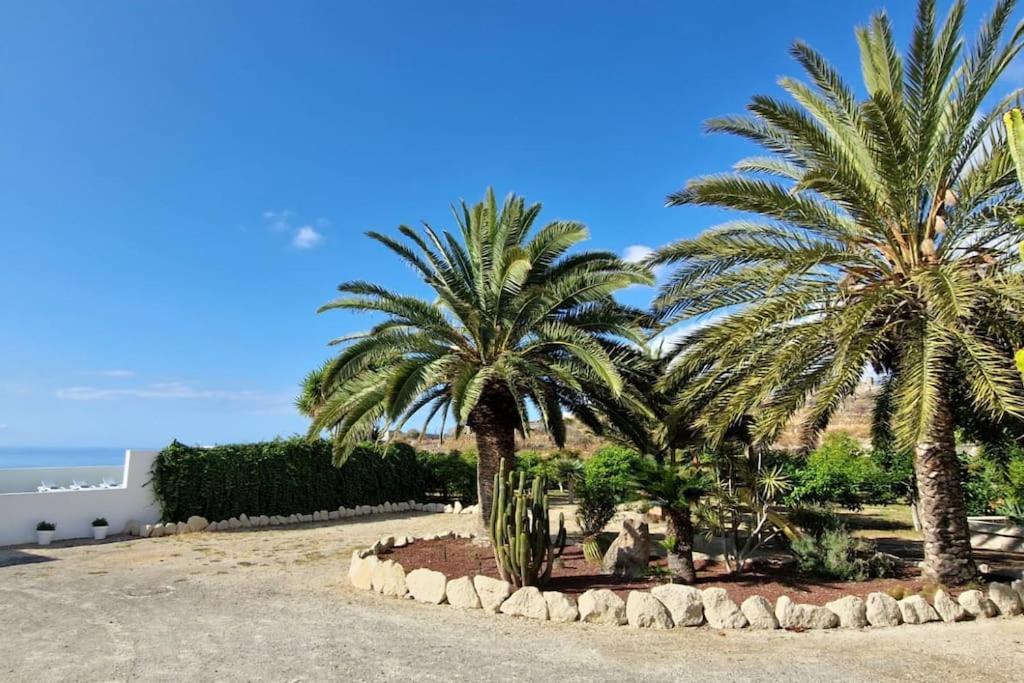 Private House With Pool & Garden Güimar Exterior foto